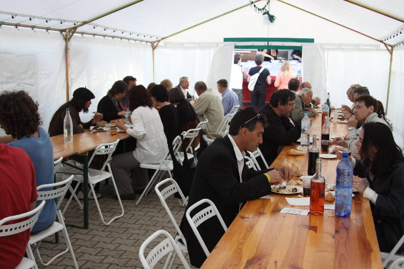 13e Festival Traditionnel au Pays du Galoubet