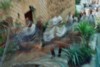 11e Festival Traditionnel au Pays du Galoubet