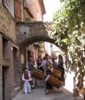 11e Festival Traditionnel au Pays du Galoubet