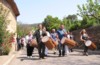 11e Festival Traditionnel au Pays du Galoubet
